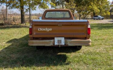 Dodge-d200-1979-brown-2