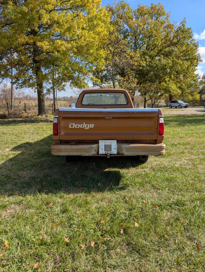 Dodge-d200-1979-brown-2