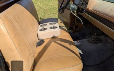 Dodge-d200-1979-brown-3