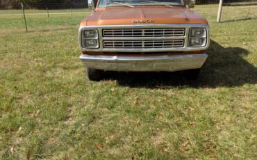 Dodge-d200-1979-brown