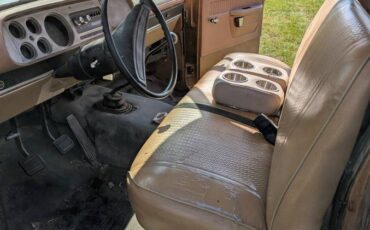 Dodge-d200-1979-brown-4