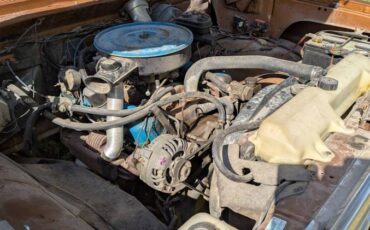 Dodge-d200-1979-brown-5