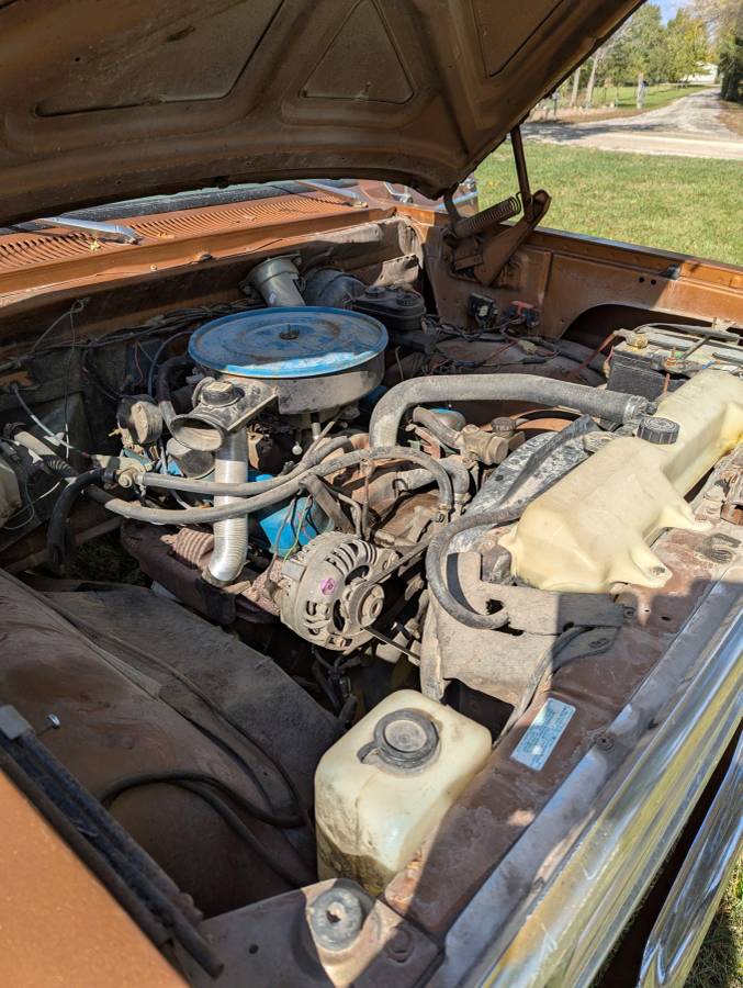 Dodge-d200-1979-brown-5