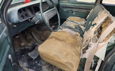 Dodge-d200-crew-cab-shortbed-1975-green-22