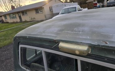 Dodge-d200-crew-cab-shortbed-1975-green-4