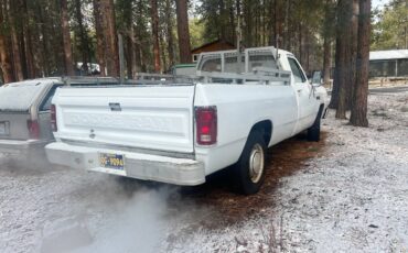 Dodge-d250-1985-9