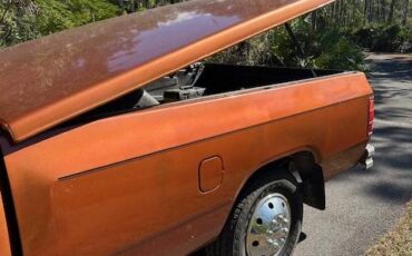 Dodge-d250-diesel-1991-5