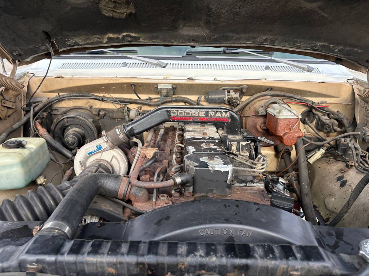 Dodge-d250-w250-diesel-1990-white-14