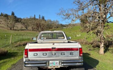 Dodge-d350-diesel-1991-grey-1