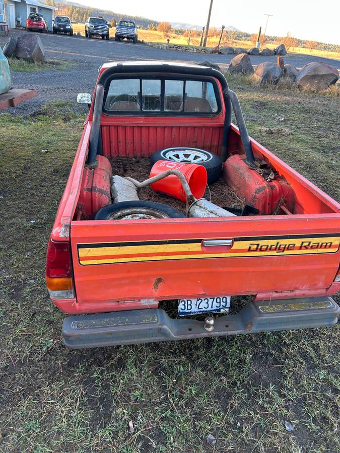 Dodge-d50-sport-1979-orange
