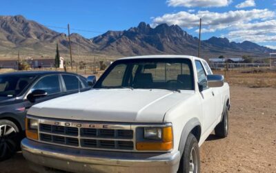 Dodge dakota 1991