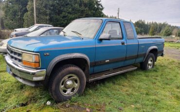 Dodge-dakota-4x4-1994-1