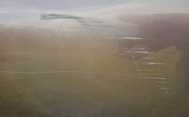 Dodge-dart-170-1963-brown-13