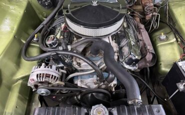 Dodge-dart-swinger-1972-green-14