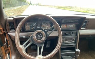 Dodge-daytona-turbo-1984-brown-13