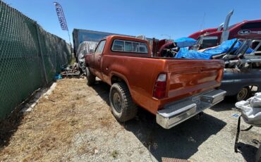 Dodge-pick-up-1975-3
