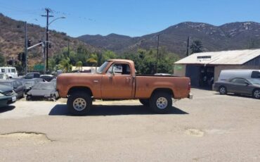 Dodge-pick-up-1975-7