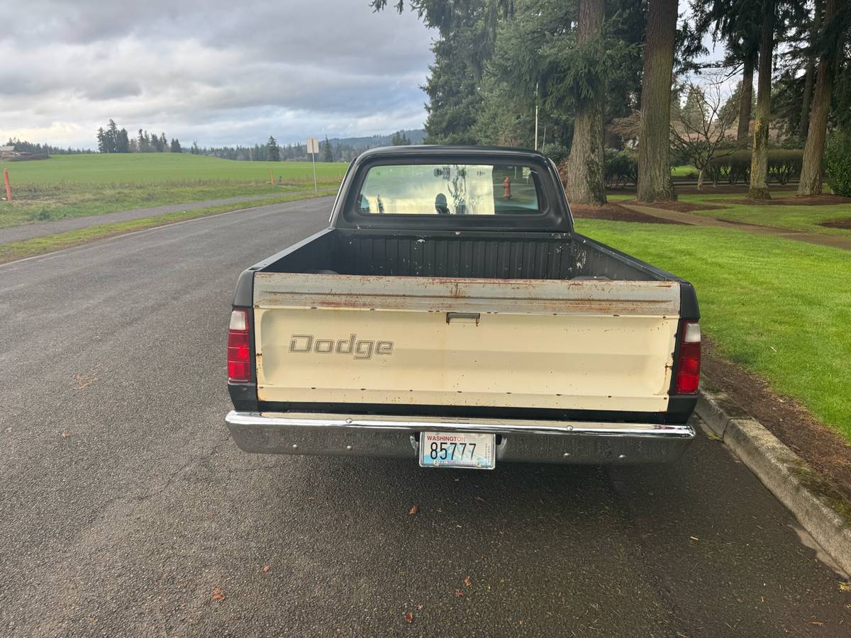 Dodge-pickup-1977-black-2