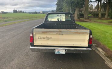 Dodge-pickup-1977-black-27