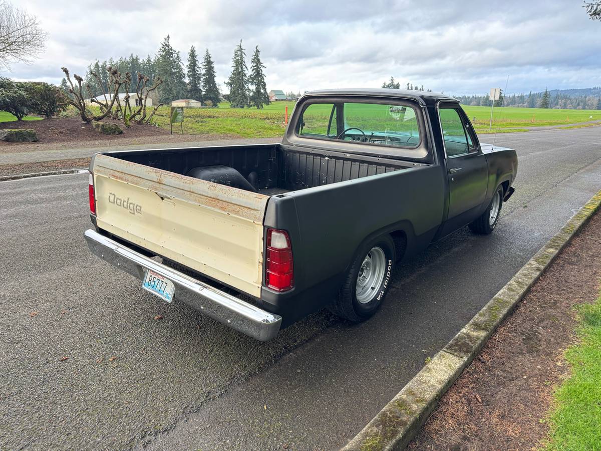 Dodge-pickup-1977-black-28