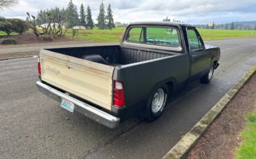 Dodge-pickup-1977-black-3