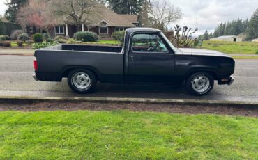 Dodge-pickup-1977-black-4
