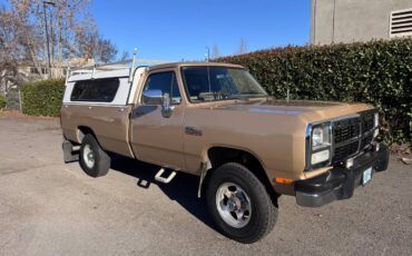 Dodge-power-ram-w250-4x4-cummins-diesel-1991-brown-2