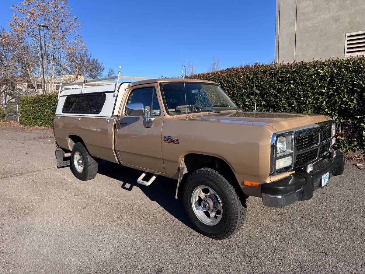 Dodge-power-ram-w250-4x4-cummins-diesel-1991-brown-2