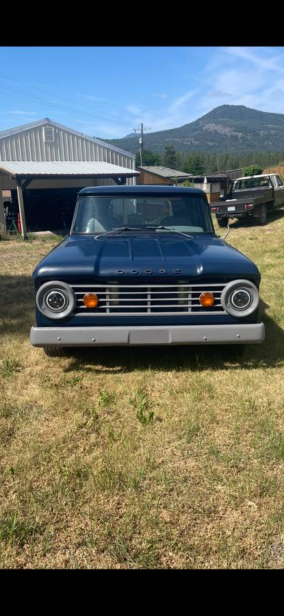 Dodge-pu-1966-blue-2