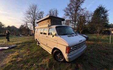 Dodge-ram-van-1991-8