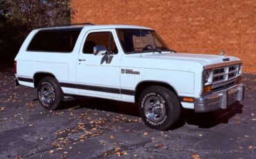 Dodge-ramcharger-150s-1990-1