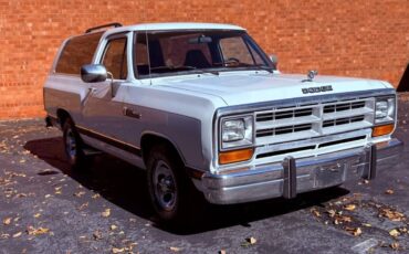 Dodge-ramcharger-150s-1990-19