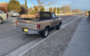 Dodge-w150-1986-brown-2