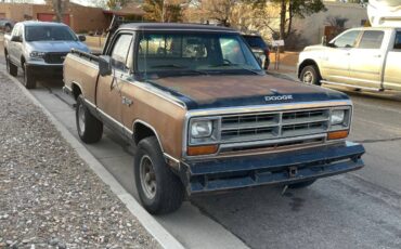 Dodge-w150-1986-brown-3