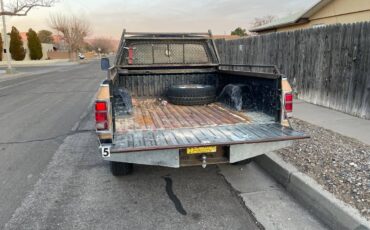 Dodge-w150-1986-brown-6
