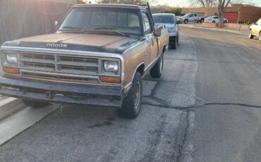 Dodge-w150-1986-brown-7