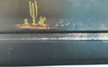 Dodge-w250-diesel-1993-green-11