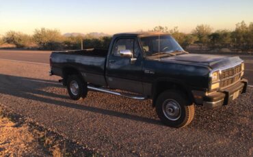 Dodge-w250-diesel-1993-green-22
