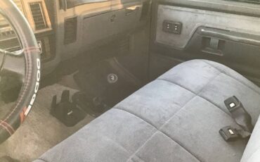 Dodge-w250-diesel-1993-green-8