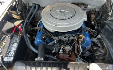 Edsel-1959-Station-Wagon-10