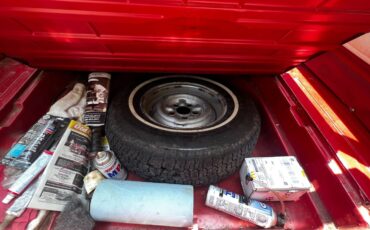 Edsel-1959-Station-Wagon-15