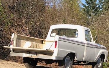 F-250-1981-6