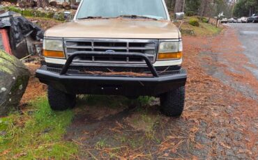 F250xlt-diesel-1994-custom-1