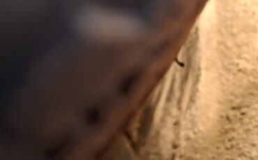 Fiat-1200-1961-Convertible-14