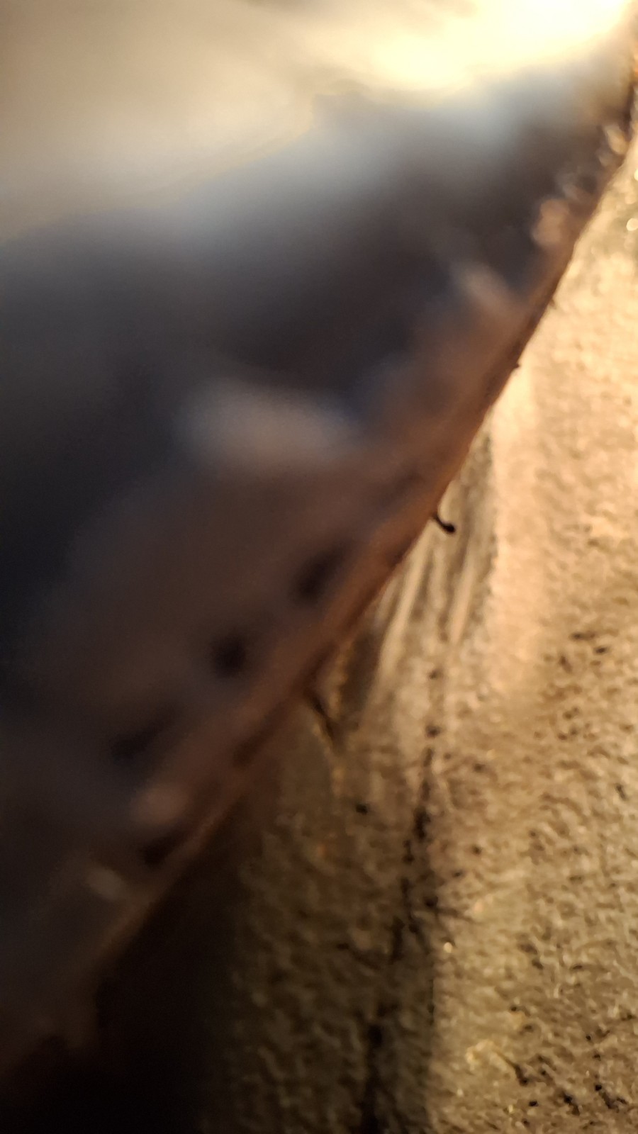 Fiat-1200-1961-Convertible-14