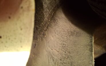 Fiat-1200-1961-Convertible-9