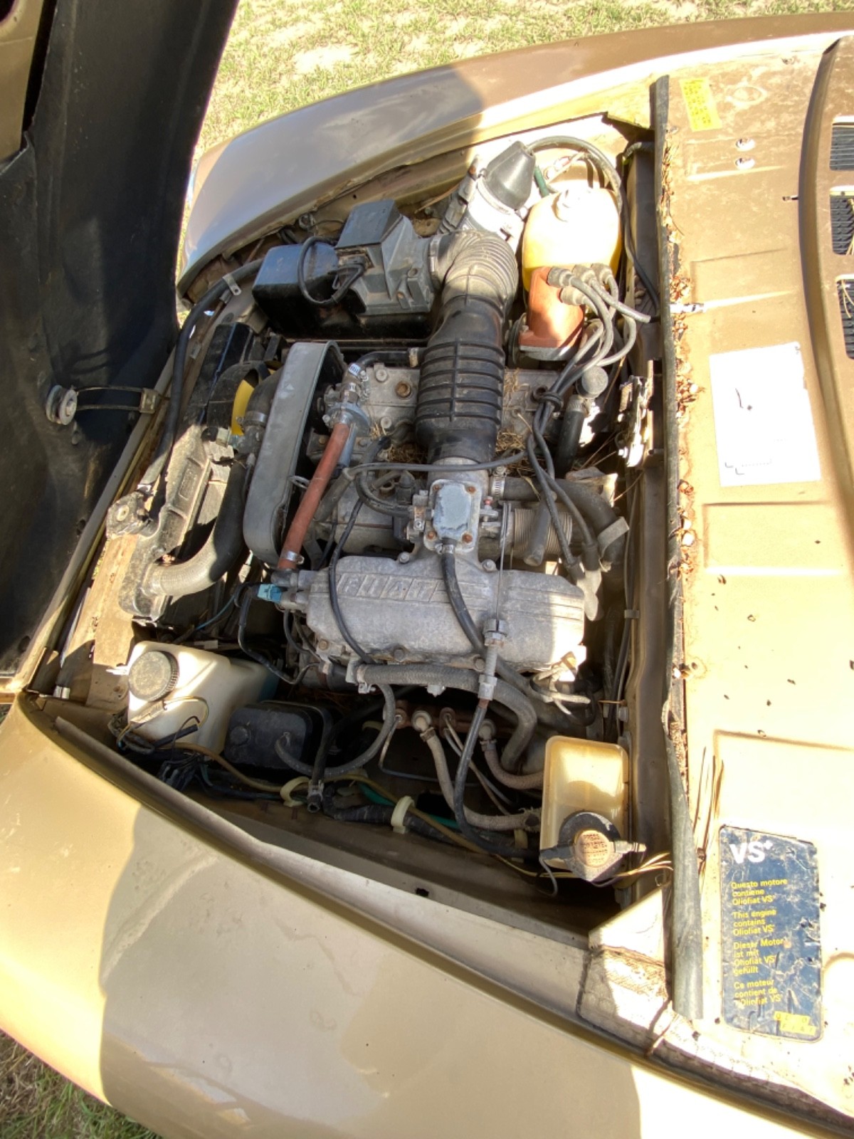 Fiat-124-Spider-1980-Convertible-9