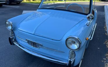 Fiat-Autobianchi-500-1963-2-door-31