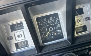 Ford-Bronco-1979-Grey-Black-6