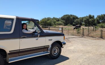Ford-Bronco-1989-SUV-22